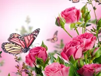 image Butterflies Puzzle